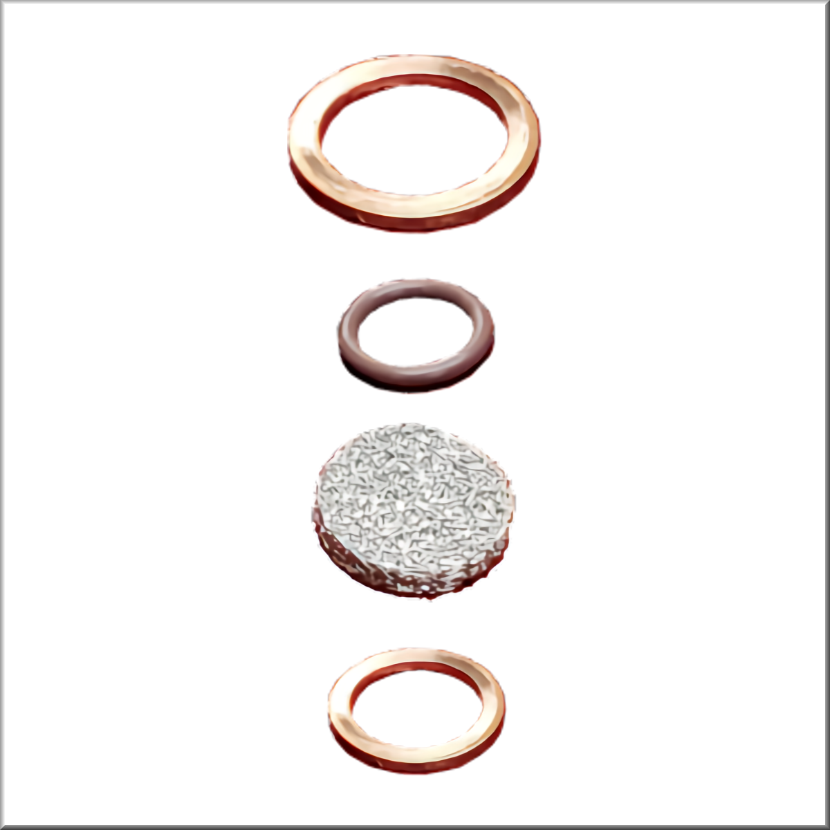Filter and gasket set for entrance ports