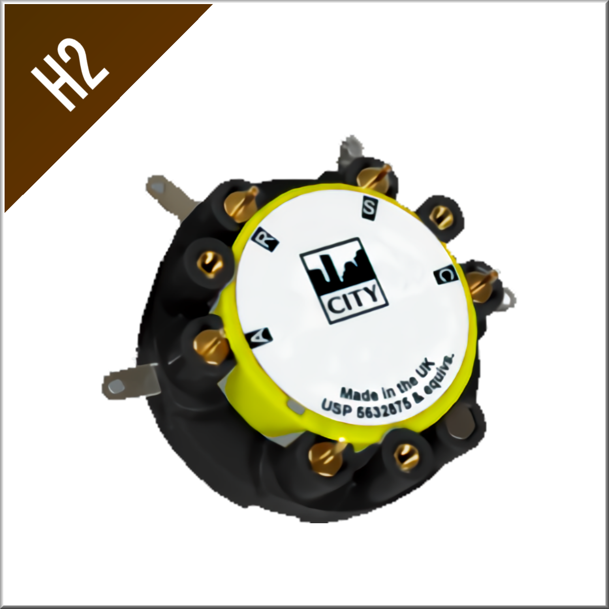 H2 Sensor - 1 % / 2 % (FOR OPTION #12243)